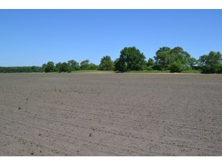 <b>PRICE REDUCED: $5,900 per acre</b><br>
This property offers productive tillable land along with two wooded areas.  Much of the larger woods near the road is on a ridge.  Investigate this area for a potential beautiful homesite as well as for hunting and recreational opportunities. <br>
<b>156.9+/- </b>Total Acres | <b>145.83+/-</b> Tillable Cropland Acres per FSA | <b>10+/-</b> Wooded Acres - 156.9+/- Acres For Sale - Cropland, Woods for Hunting/Recreational & Potential Building Sites
